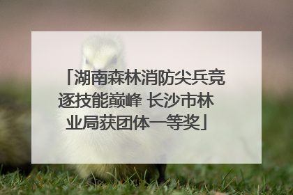 湖南森林消防尖兵竞逐技能巅峰 长沙市林业局获团体一等奖